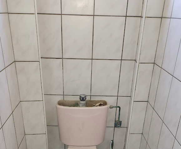 Remplacement de 2 wc FORTSCHWIHR Mulhouse 0