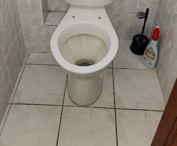 Remplacement de 2 wc FORTSCHWIHR Wittenheim 1