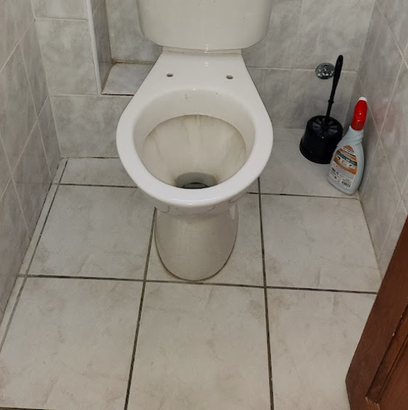 Remplacement de 2 wc FORTSCHWIHR Mulhouse