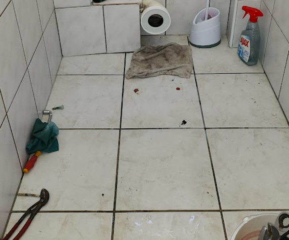 Remplacement de 2 wc FORTSCHWIHR Riedisheim 2