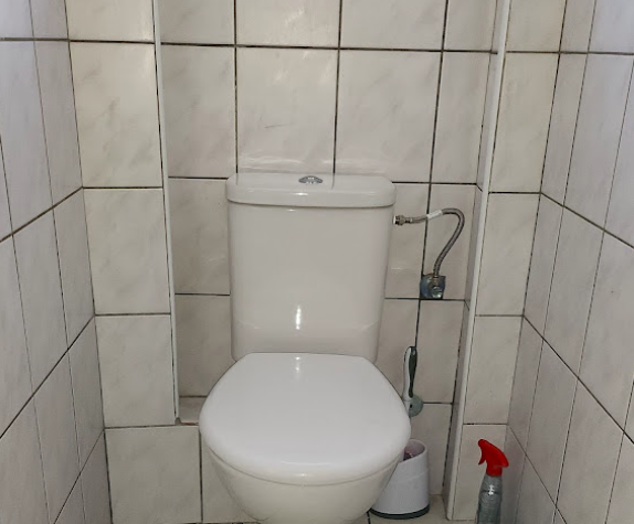 Remplacement de 2 wc FORTSCHWIHR Guebwiller 3