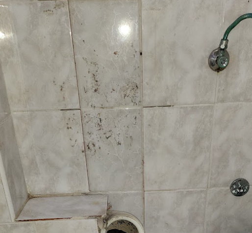 Remplacement de 2 wc FORTSCHWIHR Saint-Di&eacute;-des-Vosges 4